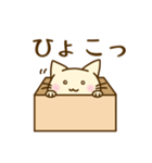 わたしの基本スタンプ〔ねこさん〕（個別スタンプ：21）