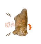 マンチカンちくわ様（個別スタンプ：3）