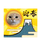 マンチカンちくわ様（個別スタンプ：19）