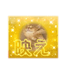 マンチカンちくわ様（個別スタンプ：27）