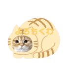 マンチカンちくわ様（個別スタンプ：28）