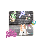 ぱぴぱぴパピヨン101（個別スタンプ：2）