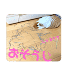 ランちゃん大盛りスタンプ（個別スタンプ：2）
