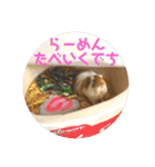 ランちゃん大盛りスタンプ（個別スタンプ：9）