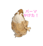 ランちゃん大盛りスタンプ（個別スタンプ：14）