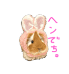 ランちゃん大盛りスタンプ（個別スタンプ：20）