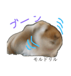 ランちゃん大盛りスタンプ（個別スタンプ：32）