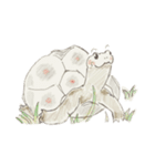 カメスァン2（個別スタンプ：14）