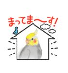 インコ可愛い〜〜スタンプ（個別スタンプ：5）