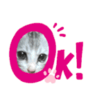 我が家の小筆ちゃん（個別スタンプ：3）