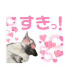 我が家の小筆ちゃん（個別スタンプ：21）