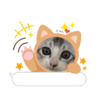 我が家の小筆ちゃん（個別スタンプ：28）