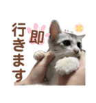 我が家の小筆ちゃん（個別スタンプ：29）