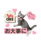 我が家の小筆ちゃん（個別スタンプ：32）