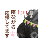 我が家の小筆ちゃん（個別スタンプ：34）
