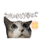 我が家の小筆ちゃん（個別スタンプ：35）