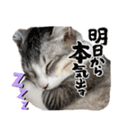 我が家の小筆ちゃん（個別スタンプ：36）