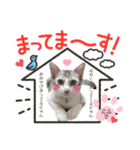 我が家の小筆ちゃん（個別スタンプ：37）