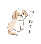 可愛いシーズー犬の日常会話（個別スタンプ：21）