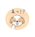 可愛いシーズー犬の日常会話（個別スタンプ：30）