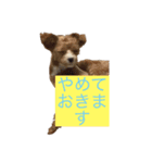 ソアラといっしょ（個別スタンプ：6）