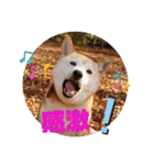 さくらと一緒 7（個別スタンプ：6）