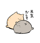 にわねこ15（個別スタンプ：19）