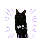 仲の悪い猫たち（個別スタンプ：7）