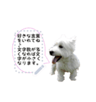 犬が話しかけるメッセージスタンプ 修正版（個別スタンプ：9）