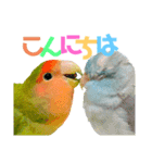 小桜ラッキー＆マメルリハそらパート6（個別スタンプ：3）