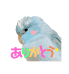 小桜ラッキー＆マメルリハそらパート6（個別スタンプ：5）