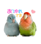 小桜ラッキー＆マメルリハそらパート6（個別スタンプ：16）