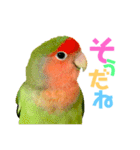小桜ラッキー＆マメルリハそらパート6（個別スタンプ：18）