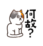 三毛猫マイク（個別スタンプ：14）