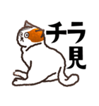 三毛猫マイク（個別スタンプ：15）