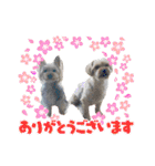 ロキゆめスタンプ（個別スタンプ：1）