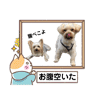 ロキゆめスタンプ（個別スタンプ：20）
