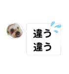 ロキゆめスタンプ（個別スタンプ：24）