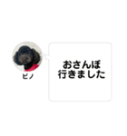 黒トイプーのいる生活（個別スタンプ：18）