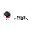 黒トイプーのいる生活（個別スタンプ：19）