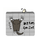 ◯◯ニャイねこちゃんスタンプ（個別スタンプ：25）