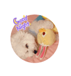 AYAKO familyの愛犬シロたん（個別スタンプ：7）