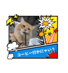 ねこが代わりに（個別スタンプ：5）