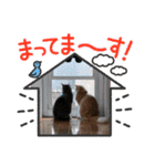ねこが代わりに（個別スタンプ：7）