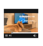 ねこが代わりに（個別スタンプ：10）