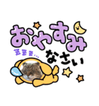 ねこが代わりに（個別スタンプ：16）