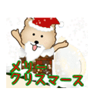 モコモコわんこ クリスマスと年末年始（個別スタンプ：2）