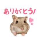 はむっとハムスタンプ【修正版】（個別スタンプ：3）