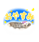 はむっとハムスタンプ【修正版】（個別スタンプ：5）