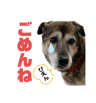 ココロ スタンプ！（個別スタンプ：2）
